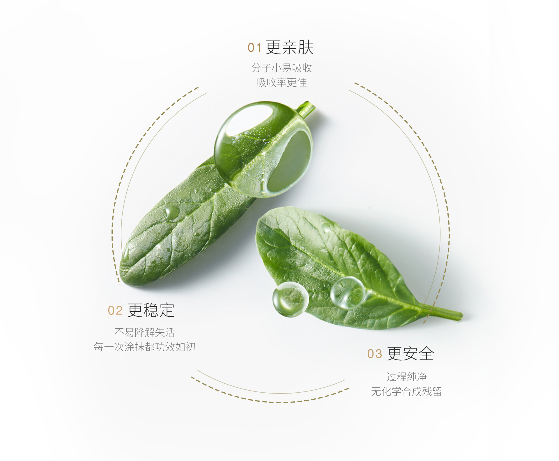 嫩芙甄选